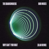 Why Can't You Wait (3LAU Remix) - Single