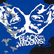 It Gets Dark So Early by Black Widows