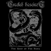 The Reef of The Viper