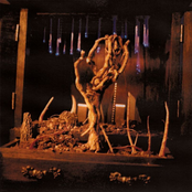 In Dreams Of Something New I Have Not Been Well