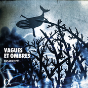 Collectif9: Vagues et ombres