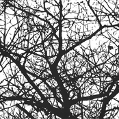 Drifting​.​.​.