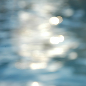 Top Tracks of November 2010