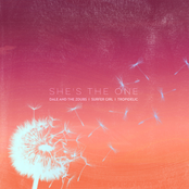 She's the One (with Surfer Girl & Tropidelic)