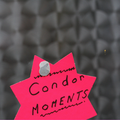 Made For Love by Condor Moments