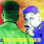 Cactus Album