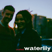 Crushed: waterlily