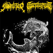 Goatshark Abominator