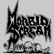 1986-1990 - The Signal To Attack