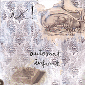 Autòmat Infinit de ix!