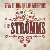 Viva el Dia de los Muertos