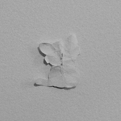 intrstic 2023-2024 ~ "art by accidnt"