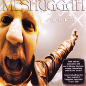 Abnegating Cecity by Meshuggah