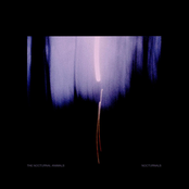 Nocturnals