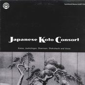 Japanese Koto Consort