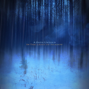 In the Light of Shadow