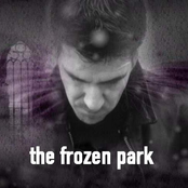 the frozen park