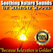 The Sounds of Summer