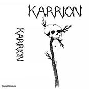 Karrion (Demo)