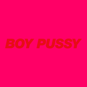 Boy Pussy