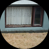 An Ecology of Silence