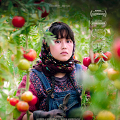 Au pays de nos frères (Bande originale du film)