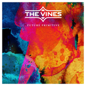 Cry by The Vines