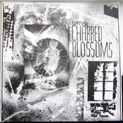 Charred Blossoms