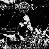 Ambre Zuetki Vuordrevartre