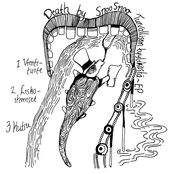 Turvallisen tyylikästä EP