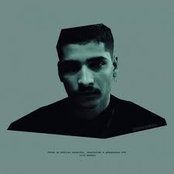 não matem as baratas