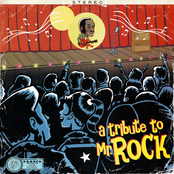A Tribute To Mr. Rock