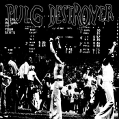 Puig Destroyer LP