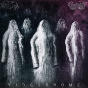 Code Pandorum: Videodrome LP