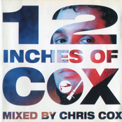 12 Inches of Cox