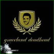 graceland deadhead