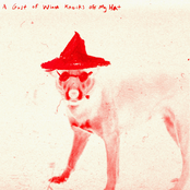 A Gust Of Wind Knocks Off My Hat