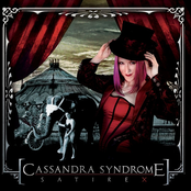 What You Wanted by Cassandra Syndrome