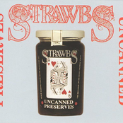 Handsome Molly by Strawbs