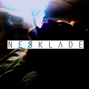 nesklade