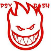 Psybash