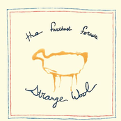 Strange Wool