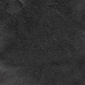 Leather (by Tori Amos)