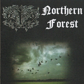 O Inverno se Aproxima