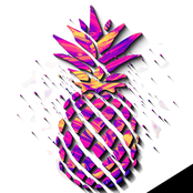 Niggas in My Butthole