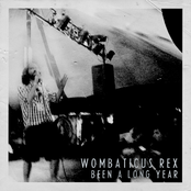 Been A Long Year by Wombaticus Rex