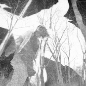 Ava McCoy: Moss On The Ceiling