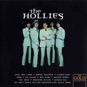 Little Bitty Pretty One by The Hollies
