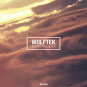 Wolftek