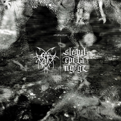 information/noise split